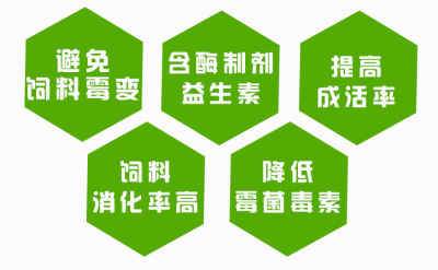 石家庄羊饲料预混料与浓缩料厂家选择指南 配方法及厂家详解