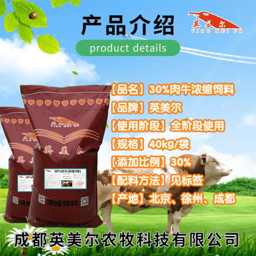 以质为本 优质肉牛用浓缩料助力母牛及犊牛平衡饲养结构