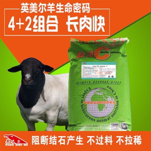 羊育肥的三种高效方法 浓缩料助力快速增重