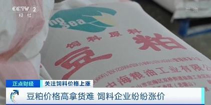 豆粕价格高企，饲料企业接连涨价 卖一头猪亏两百元，浓缩料成新焦点